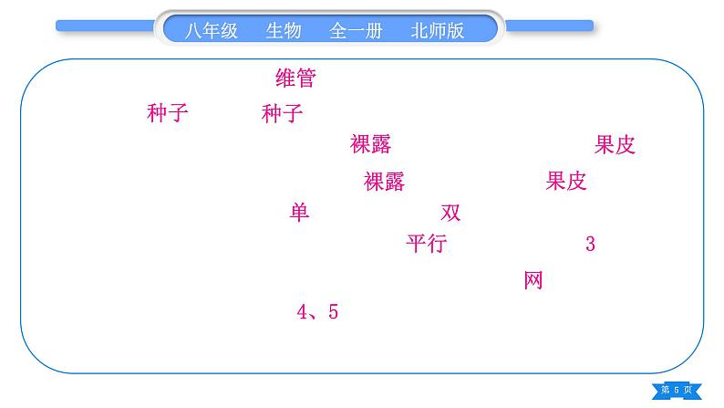 北师大版八年级生物下第7单元生命的演化第22章物种的多样性复习与提升二(第22章)习题课件第5页