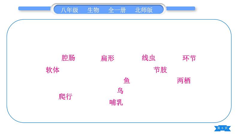 北师大版八年级生物下第7单元生命的演化第22章物种的多样性复习与提升二(第22章)习题课件第6页