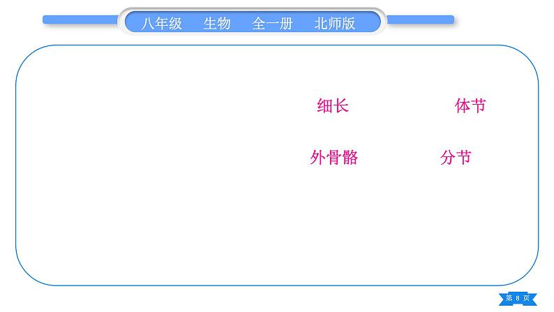 北师大版八年级生物下第7单元生命的演化第22章物种的多样性复习与提升二(第22章)习题课件第8页