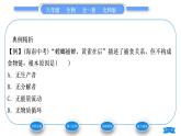 北师大版八年级生物下第8单元生物与环境第23章生态系统及其稳定性第3节生态系统的结构和功能第1课时食物链和食物网习题课件