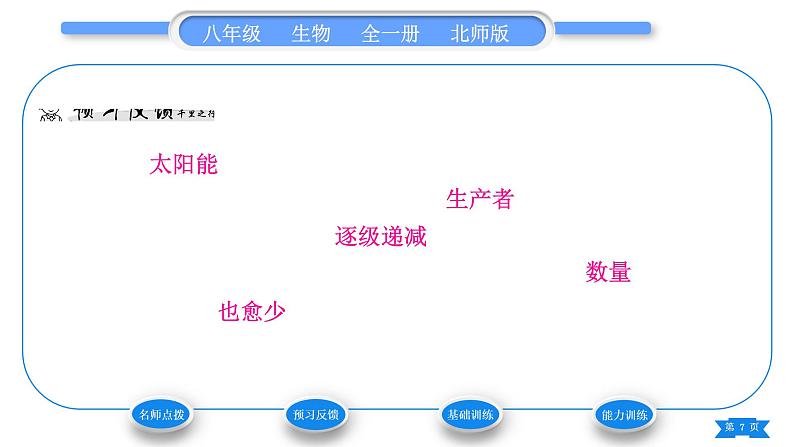 北师大版八年级生物下第8单元生物与环境第23章生态系统及其稳定性第3节生态系统的结构和功能第2课时能量流动与物质循环习题课件第7页