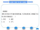 北师大版八年级生物下第8单元生物与环境第23章生态系统及其稳定性第1节生物的生存依赖一定的环境习题课件