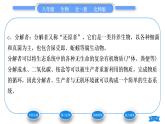 北师大版八年级生物下第8单元生物与环境第23章生态系统及其稳定性第2节生态系统概述习题课件