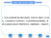 北师大版八年级生物下第8单元生物与环境第23章生态系统及其稳定性第4节生态系统的稳定性习题课件