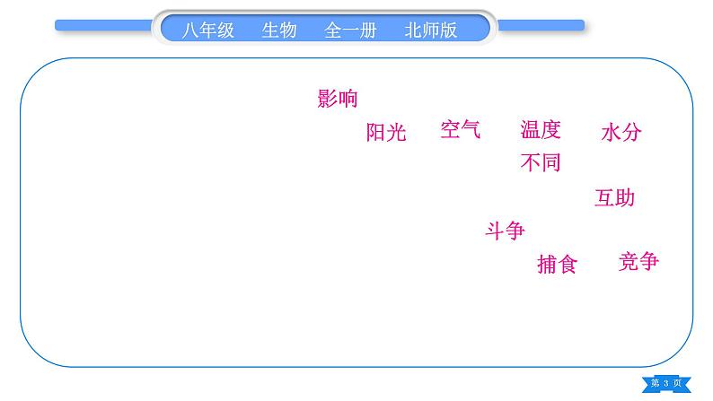 北师大版八年级生物下第8单元生物与环境第24章人与环境复习与提升习题课件03