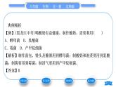 北师大版八年级生物下第9单元生物技术第25章生物技术第1节发酵技术习题课件