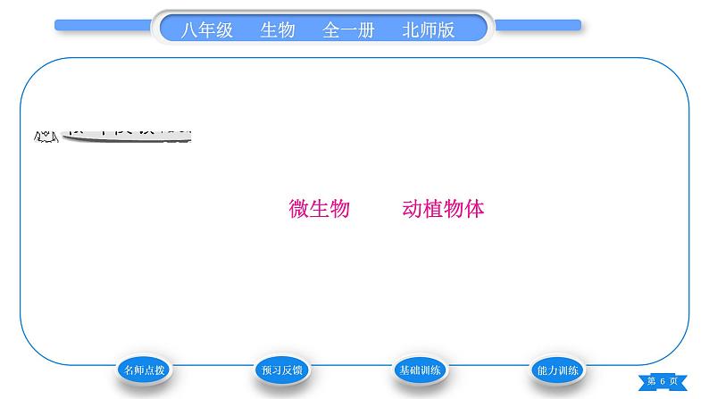 北师大版八年级生物下第9单元生物技术第25章生物技术第1节发酵技术习题课件06