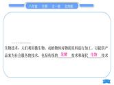 北师大版八年级生物下第9单元生物技术第25章生物技术复习与提升习题课件