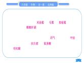 北师大版八年级生物下第9单元生物技术第25章生物技术复习与提升习题课件