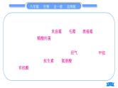 北师大版八年级生物下第9单元生物技术第25章生物技术复习与提升习题课件