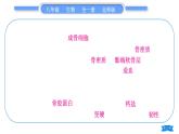 北师大版八年级生物上第5单元生物圈中的动物和微生物复习与提升一(第15章～第16章)习题课件