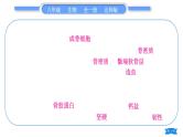北师大版八年级生物上第5单元生物圈中的动物和微生物复习与提升一(第15章～第16章)习题课件