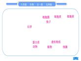 北师大版八年级生物上第5单元生物圈中的动物和微生物复习与提升二(第17章～第18章)习题课件