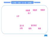 北师大版八年级生物上第5单元生物圈中的动物和微生物复习与提升二(第17章～第18章)习题课件