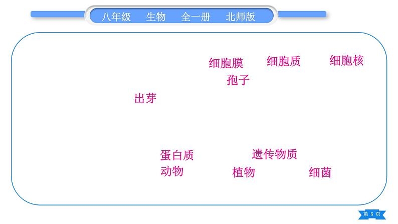 北师大版八年级生物上第5单元生物圈中的动物和微生物复习与提升二(第17章～第18章)习题课件第5页