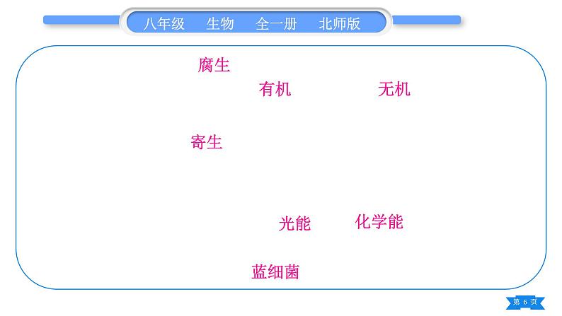 北师大版八年级生物上第5单元生物圈中的动物和微生物复习与提升二(第17章～第18章)习题课件第6页