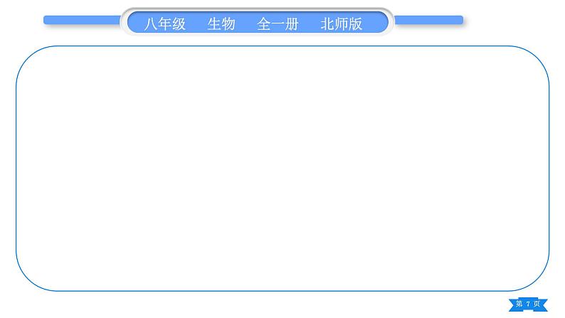 北师大版八年级生物上第5单元生物圈中的动物和微生物复习与提升二(第17章～第18章)习题课件第7页