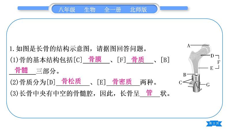 北师大版八年级生物下识图专项训练习题课件第2页