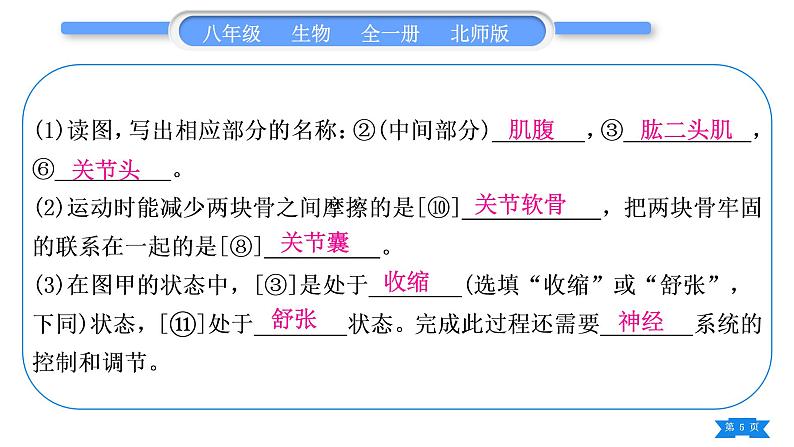 北师大版八年级生物下识图专项训练习题课件第5页