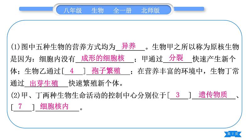 北师大版八年级生物下识图专项训练习题课件第7页