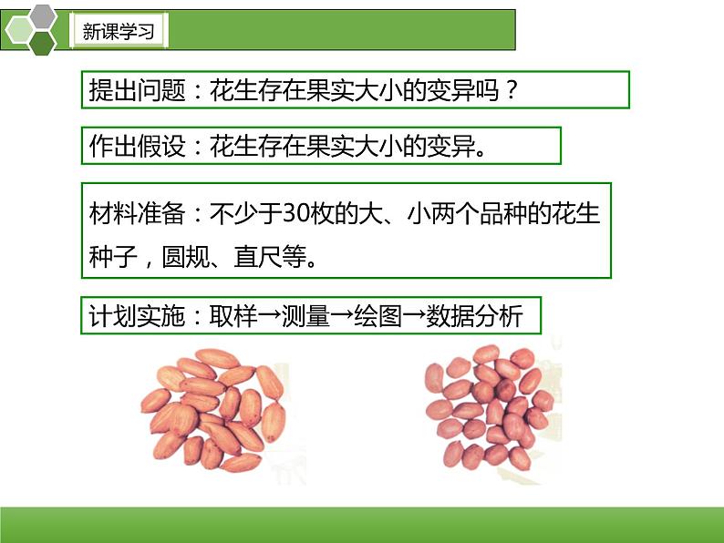 7.2.5  生物的变异课件PPT08