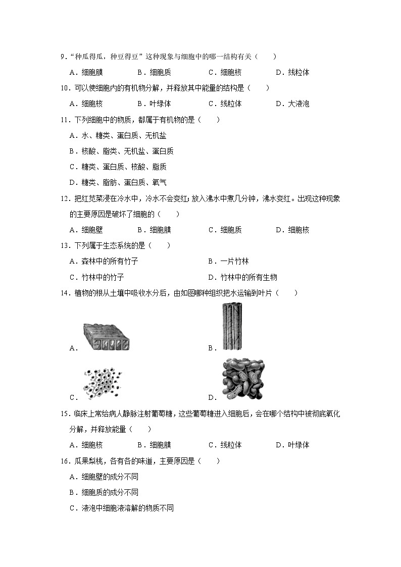 吉林省白城市大安市乐胜乡中学2022-2023学年七年级上学期期中生物试卷(含答案)第2页