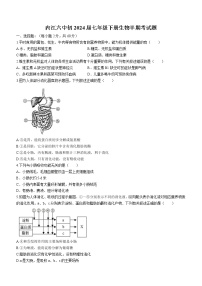 四川省内江市内江市第六中学2021-2022学年七年级下学期期中生物试题(含答案)