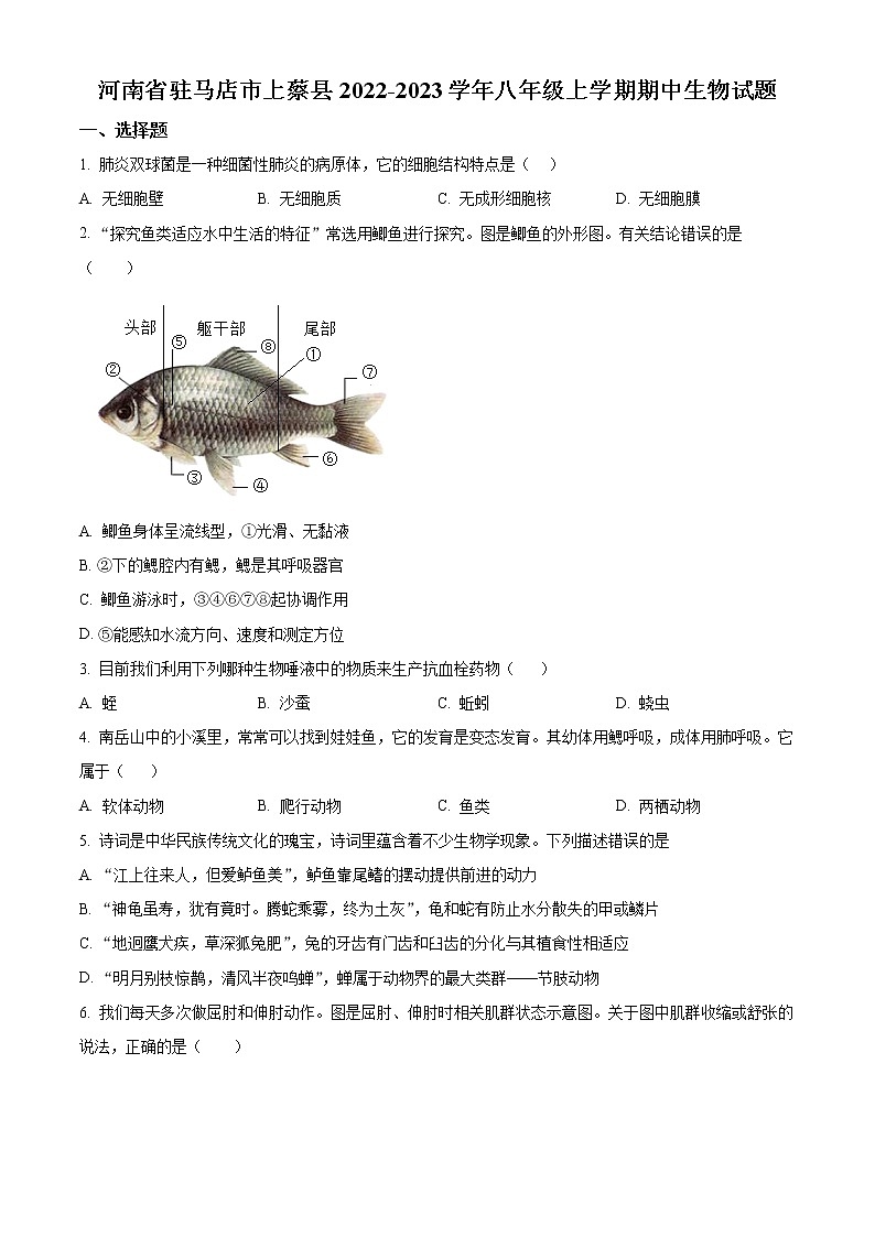 河南省驻马店市上蔡县2022-2023学年八年级上学期期中生物试题(含答案)01