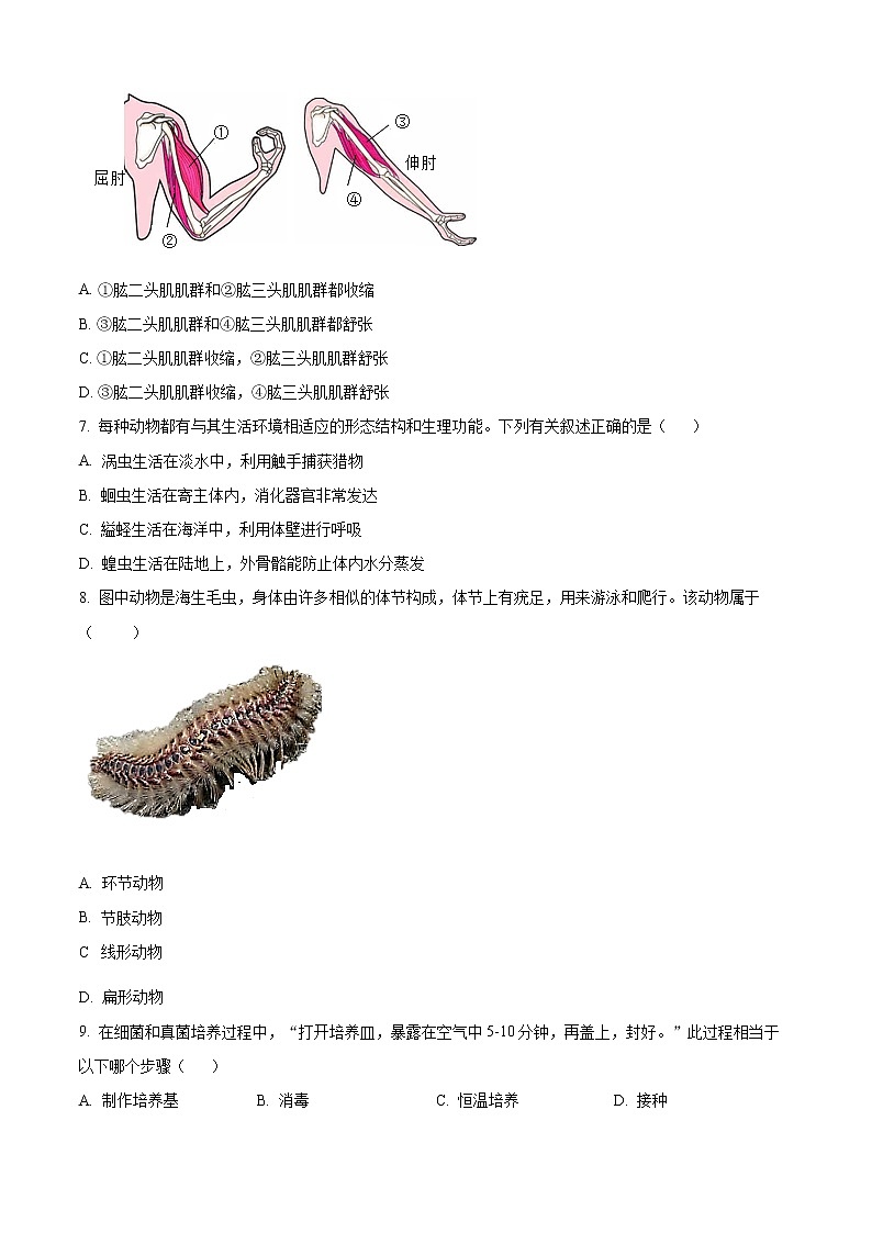河南省驻马店市上蔡县2022-2023学年八年级上学期期中生物试题(含答案)02