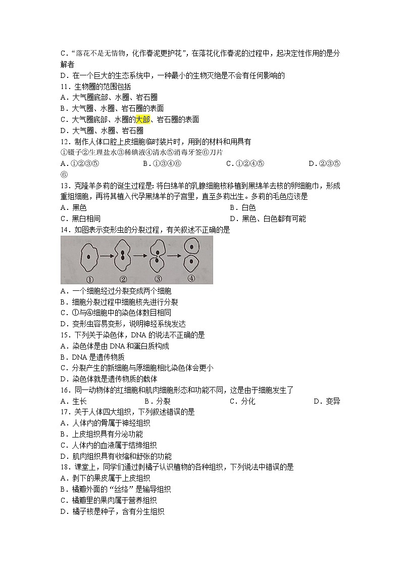 四川省宜宾市兴文县2022-2023学年七年级上学期期中生物试题第2页