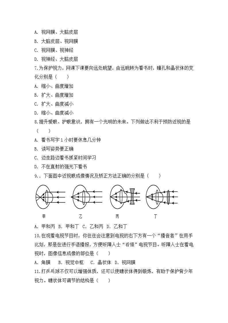 4.6.1《人体对外界环境的感知》第1课时 课件+教案+习题02