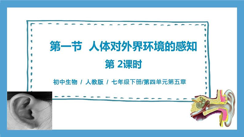 4.6.1《人体对外界环境的感知》第2课时   课件+教案+习题01
