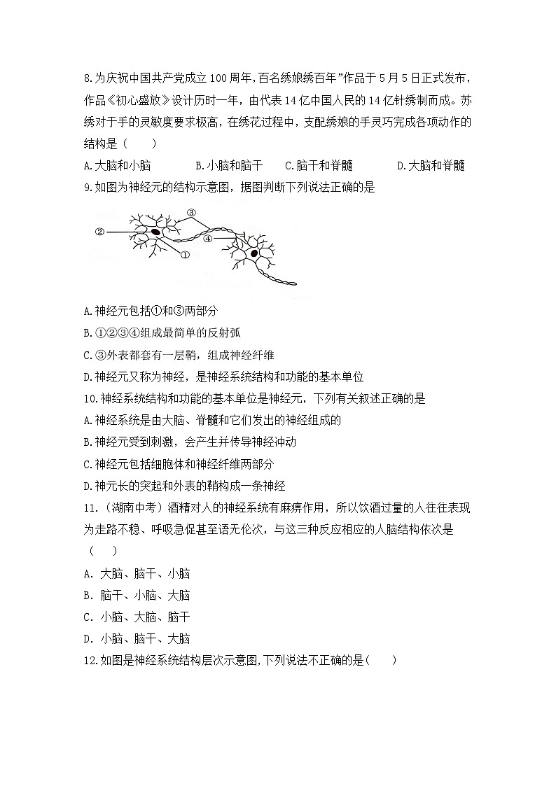 4.6.2《神经系统的组成课件》课件+教案+习题02