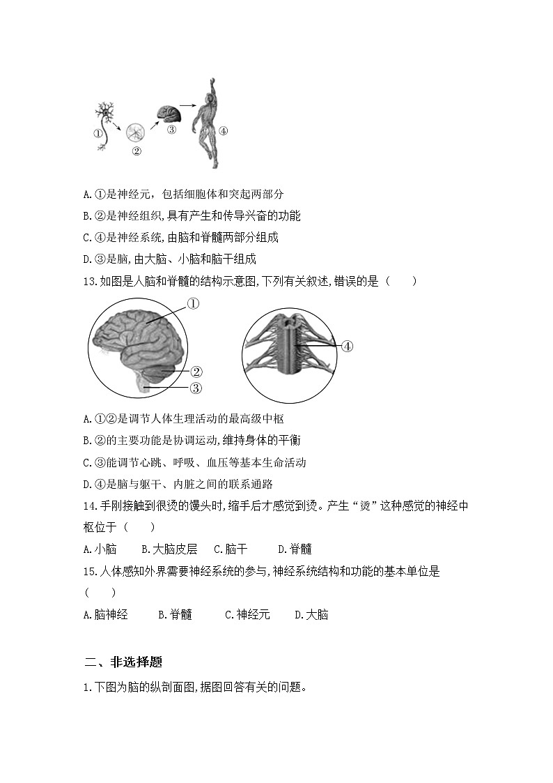 4.6.2《神经系统的组成课件》课件+教案+习题03