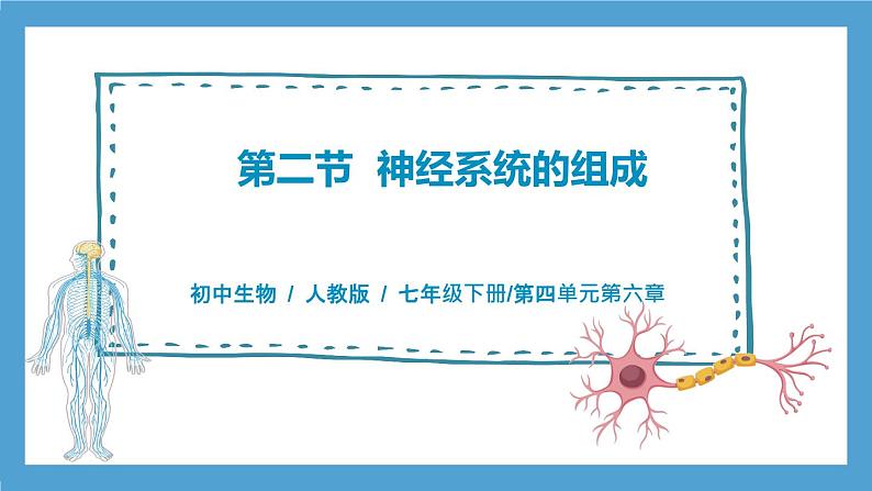 4.6.2《神经系统的组成课件》课件+教案+习题01