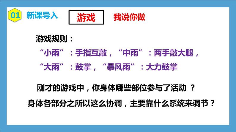 4.6.2《神经系统的组成课件》课件+教案+习题03