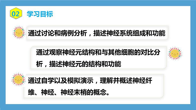 4.6.2《神经系统的组成课件》课件+教案+习题04