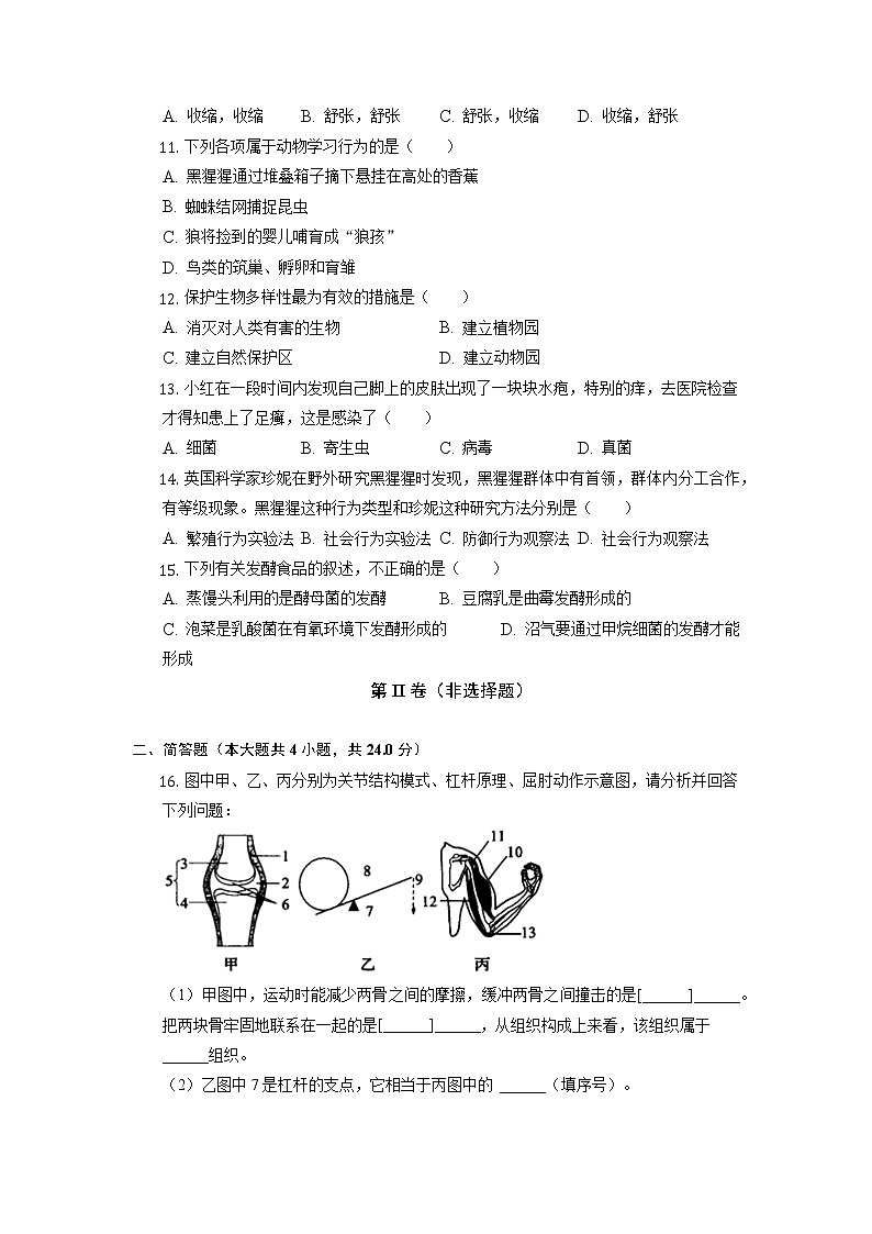 广西河池市都安县民族实验中学2022-2023学年八年级上学期期中生物试卷第2页