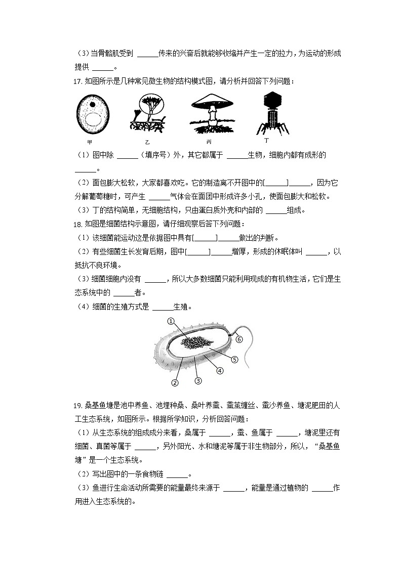 广西河池市都安县民族实验中学2022-2023学年八年级上学期期中生物试卷第3页