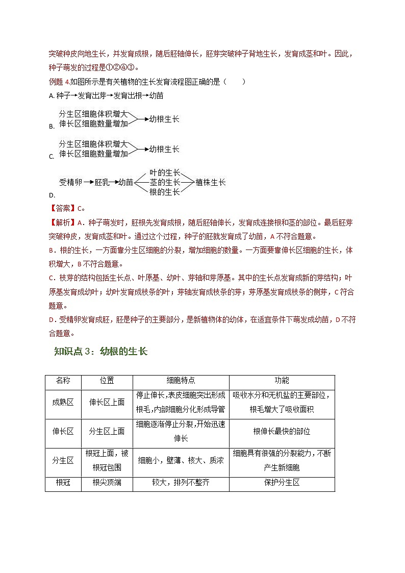 专题08 被子植物的一生（解析版）-七年级上学期期末复习之重难点突破（人教版）03