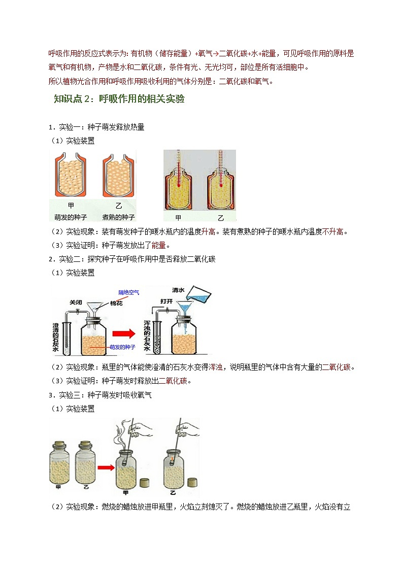 专题10 生物圈的碳-氧平衡（解析版）-七年级上学期期末复习之重难点突破（人教版）03