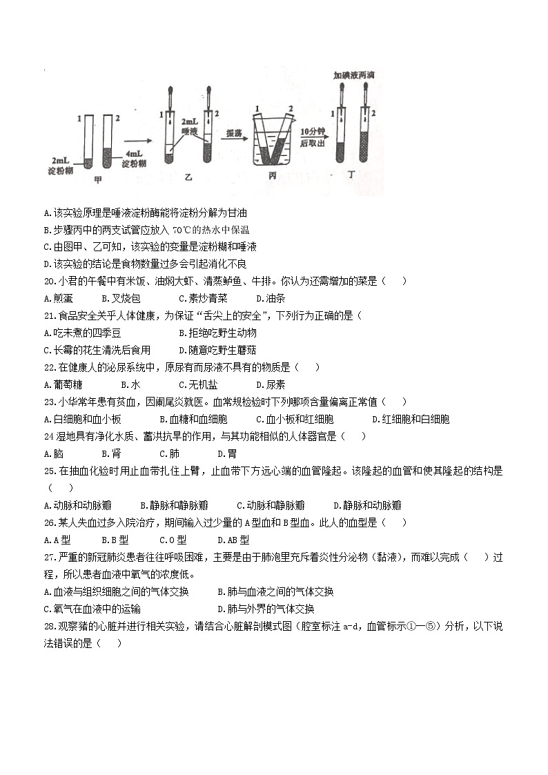 海南省临高县2021-2022学年七年级下学期期中生物试题(含答案)第3页