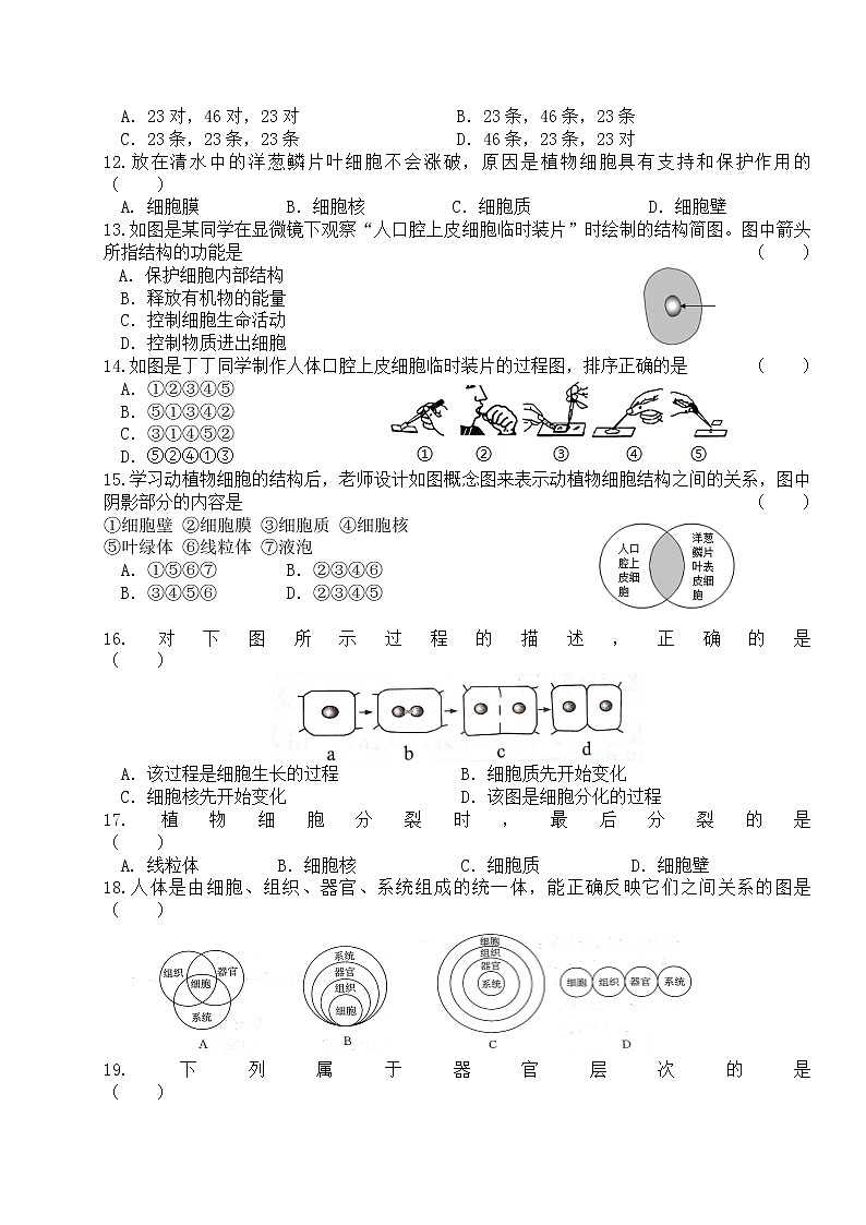 吉林省长春市博硕学校（原北京师范大学长春附属学校）2022-2023学年七年级上学期第一次月考生物试题(含答案)第2页