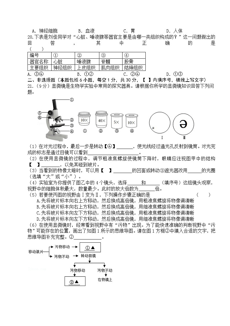 吉林省长春市博硕学校（原北京师范大学长春附属学校）2022-2023学年七年级上学期第一次月考生物试题(含答案)第3页