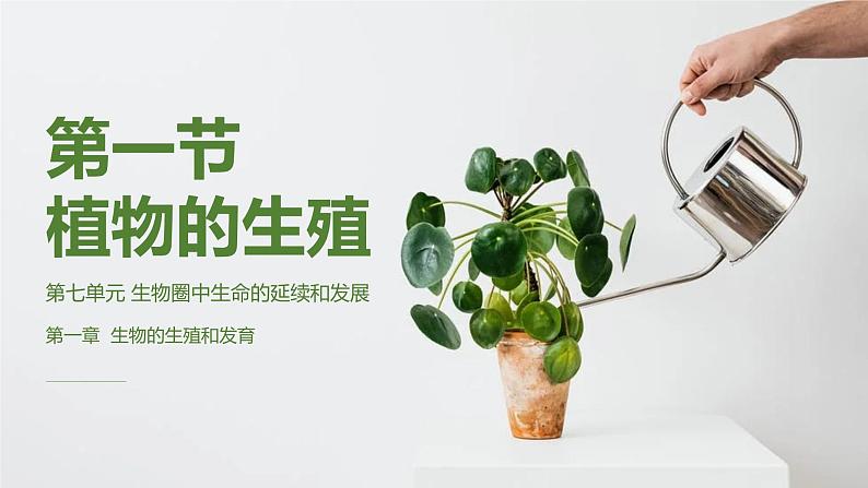 第一节 植物的生殖 课件2022第1页