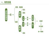 第一节 植物的生殖 课件2022