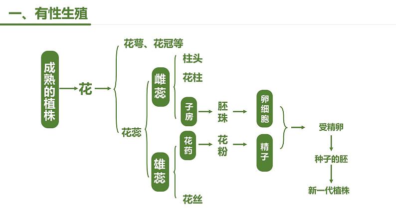 第一节 植物的生殖 课件2022第3页