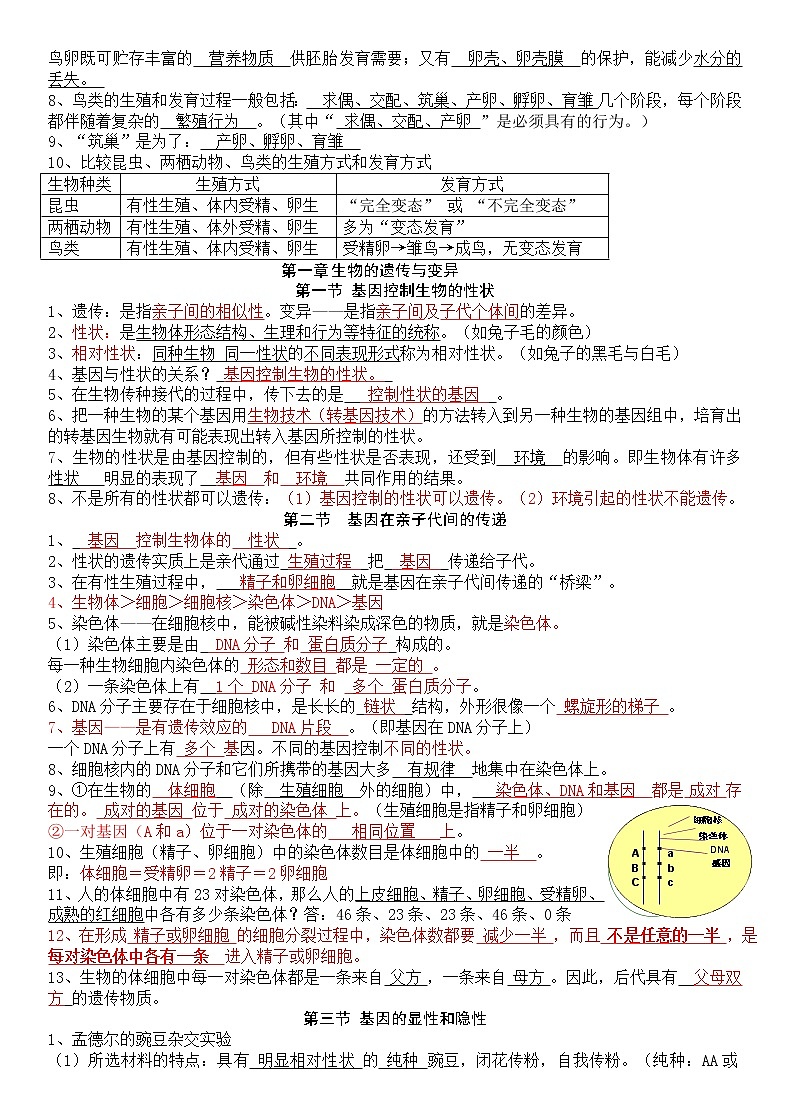 生物八下复习提纲第3页