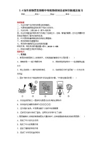 人教版 (新课标)七年级上册第四章 绿色植物是生物圈中有机物的制造者课时训练