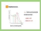 人教版七年级下册生物 4.1.3青春期（课件）